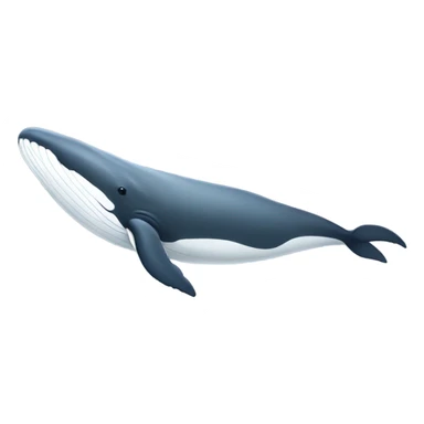 white whale , underside sticker