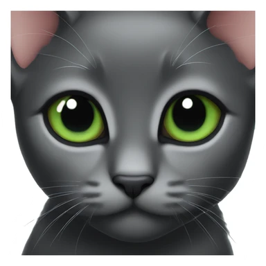 Black kitten with big green eyes sticker