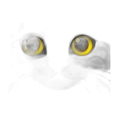 A british shorthair cat in schildpatt and with yellow eyes sticker