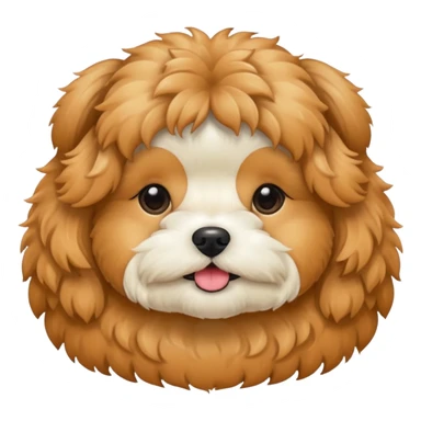 shihpoo-apricot sticker