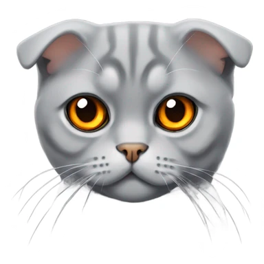 grey scottish fold cat with orange eyes  sticker