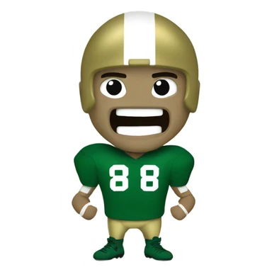 Fighting Irish football  sticker
