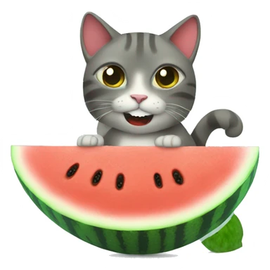 Cat eating water melon sticker