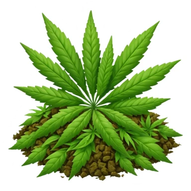 Got weed sticker