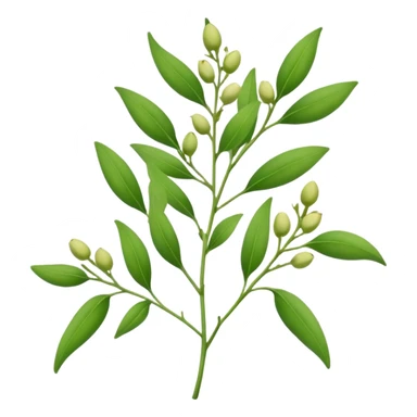 pigeonpea plant with green leaves and pods, simple and clear sticker