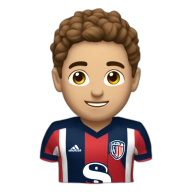 Festeja club san Lorenzo  sticker