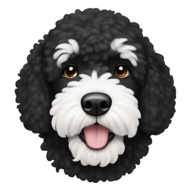 Black bernadoodle with white around mouth and big white eyebrows  sticker