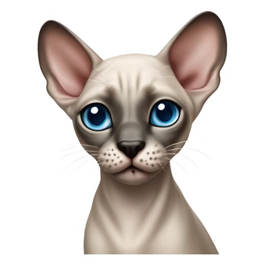 Seal point mink sphynx blue eyes dark nose without whiskers  sticker