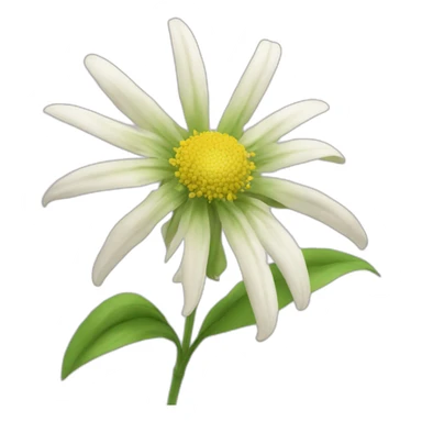 Flower Edelweiß sticker