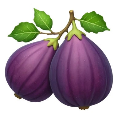Fig fruit sticker