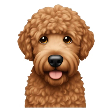 Lightskin man with a red goldendoodle sticker