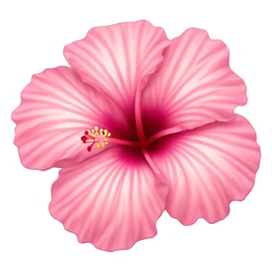 Light pink hibiscus  sticker