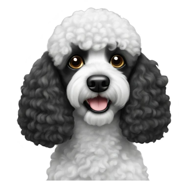 Black and white poodle  sticker
