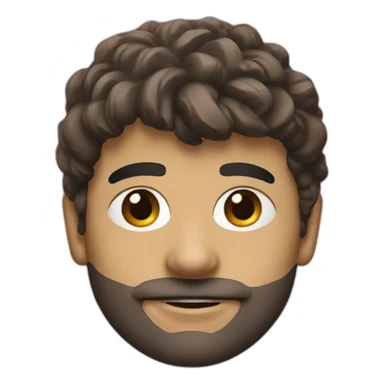 stade-toulousain sticker