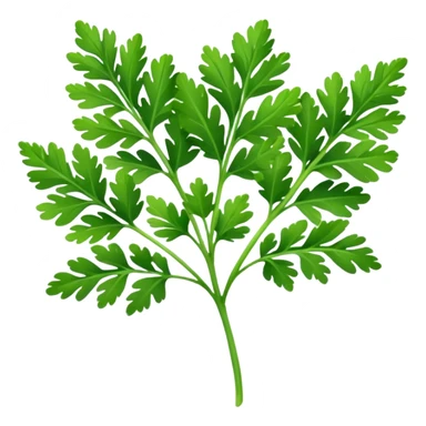 Hoja de perejil  sticker