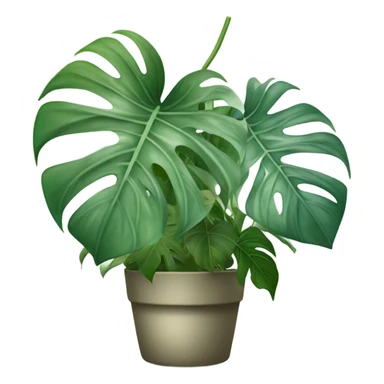 Monstera deliciosa Thai constellation  sticker