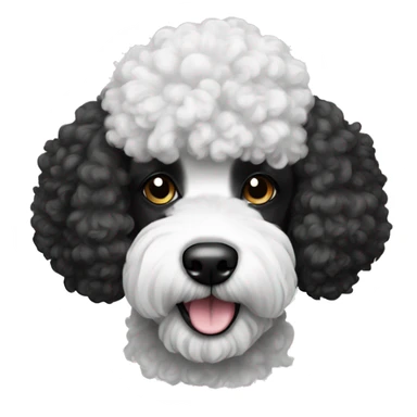 black and white poodle sticker