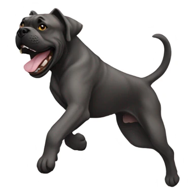 A Cane Corso jumps for joy. sticker