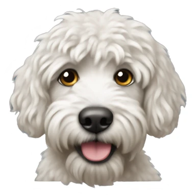 Berniedoodle sticker