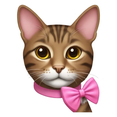 Brown female tabby cat with pink bow collar  sticker