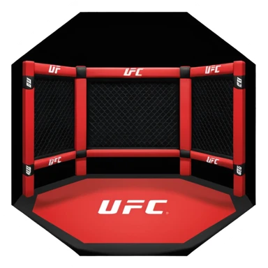 UFC octagon sticker