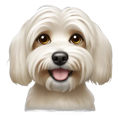 A havanese dog,that’s mostly cream,with a bit of light brown on the ears sticker