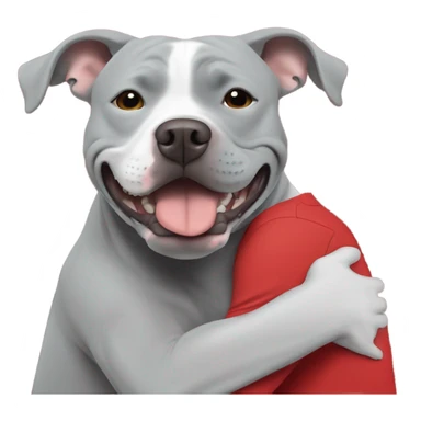 Grey male large pit bull smiling hugging bald white mature man with red tshirt sticker