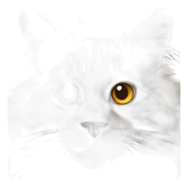 Maine Coon orange cat sticker