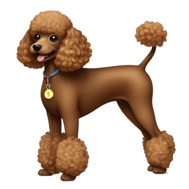 Dog poodle brown sticker