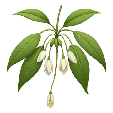 wilted jasmine emoji sticker