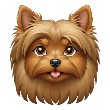 Yorkie with one white eye sticker