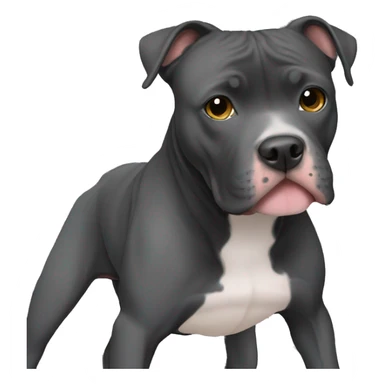 A light black pitbull sticker