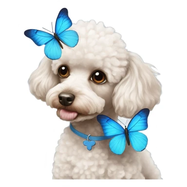 Toy poodle with blue butterfly  sticker