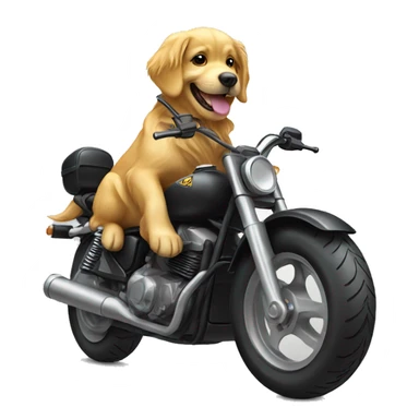 Golden retriever riding a motorcycle  sticker