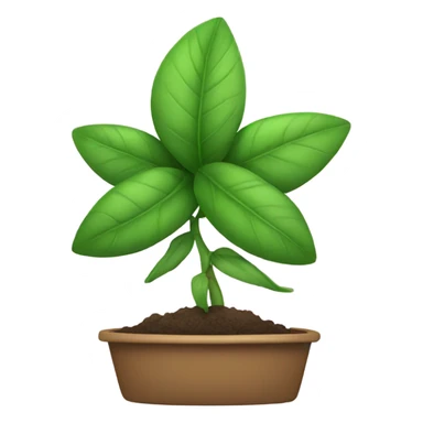 Plant wearing a bow sticker