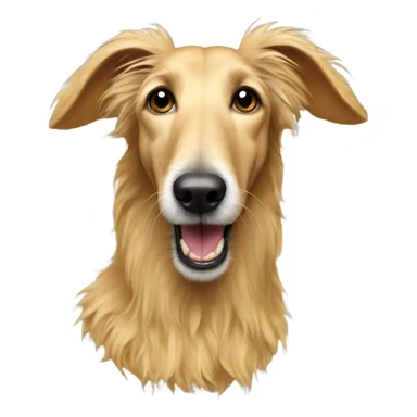 Golden fluffy lurcher with an inside-out ear sticker