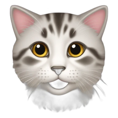 Chaton sticker