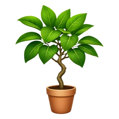 Ficus plant sticker