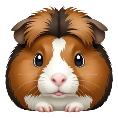 Black brown and white guinea pig sticker