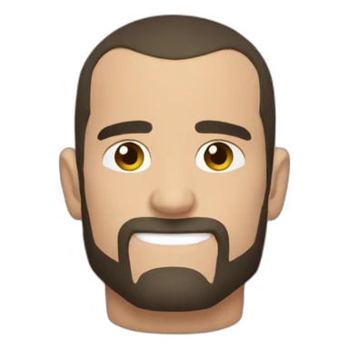 Cm punk sticker