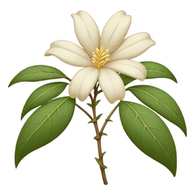 wilted jasmine emoji sticker