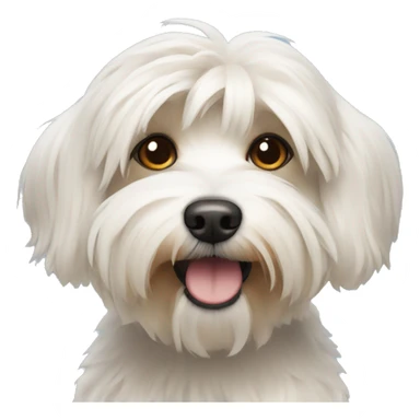 Havanese dog sticker