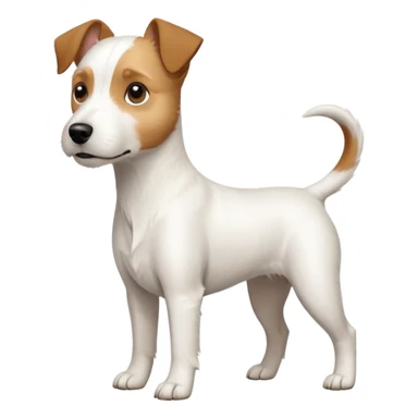 a full body large white parson russell terrier looking dog the size of a kelpie with light brown big ears and a light brown patch on one eye and a large snout sticker