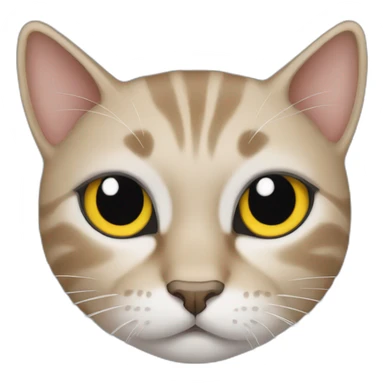 cat black cry sticker