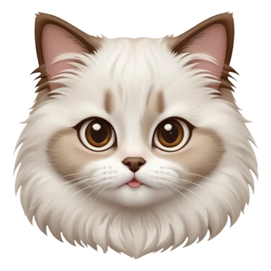 cinematic-adorable-big-eyed-fluffy-white brown-ragdoll-cat-portrait-emoji,-head-tilted-playfully-with-a-sweet-expression,-fluffy-white brown-fur,-simplified-yet-irresistibly-cute-features-with-large,-expression, sticker