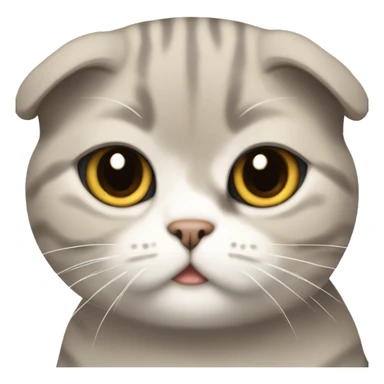 Scottish fold cat tomboy sticker