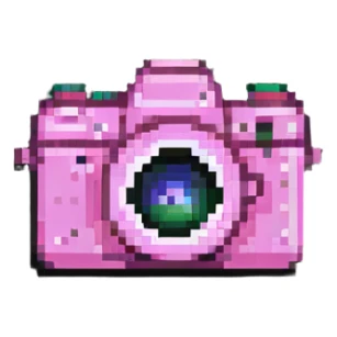 pink camera sticker