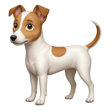 a full body white jack russel looking dog the size of a kelpie with light brown ears and a light brown patch on one eye and a large snout sticker