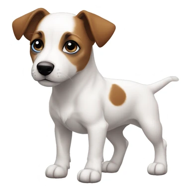 Muscular Jack Russel Terrier Puppy all white fur blue eyes, brown spot on right eye  sticker