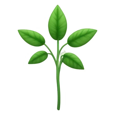  a plant with a thin, slightly hairy green stem. The leaves are oval, pointed, slightly serrated, and dark green in color. They are arranged in opposite pairs along the stem. sticker